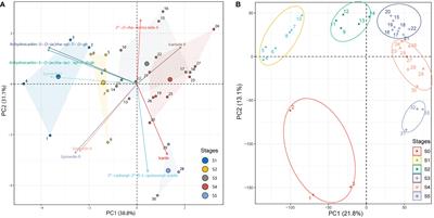 Time-series transcriptome provides insights into the gene regulation network involved in the icariin-flavonoid metabolism during the leaf development of Epimedium pubescens
